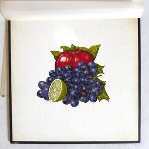 OOAK ORIGINAL ARTWORK FRUIT STILL LIFE GRAPES APPLE ILLUSTRATION BY BILL HALL